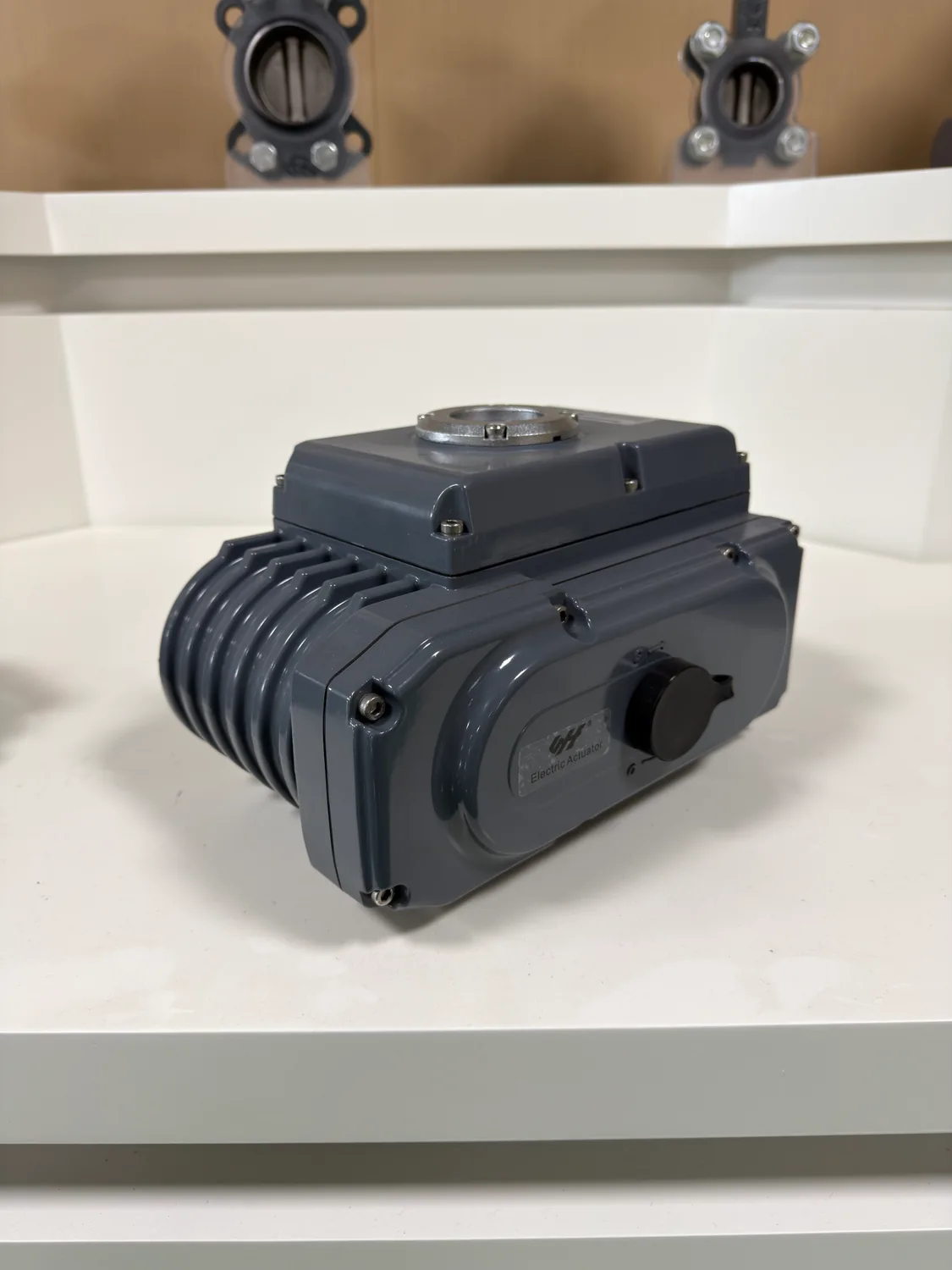 Electric valve actuator in the SHE product display
